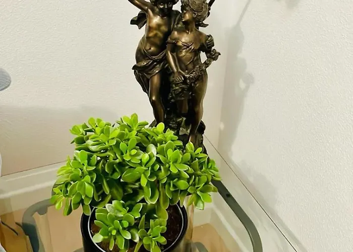 Sunny Panorama Solarium